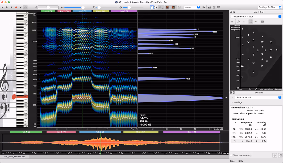 VoceVista Video Pro 5.10.0